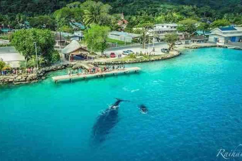 Meri Lodge Huahine Fare Εξωτερικό φωτογραφία